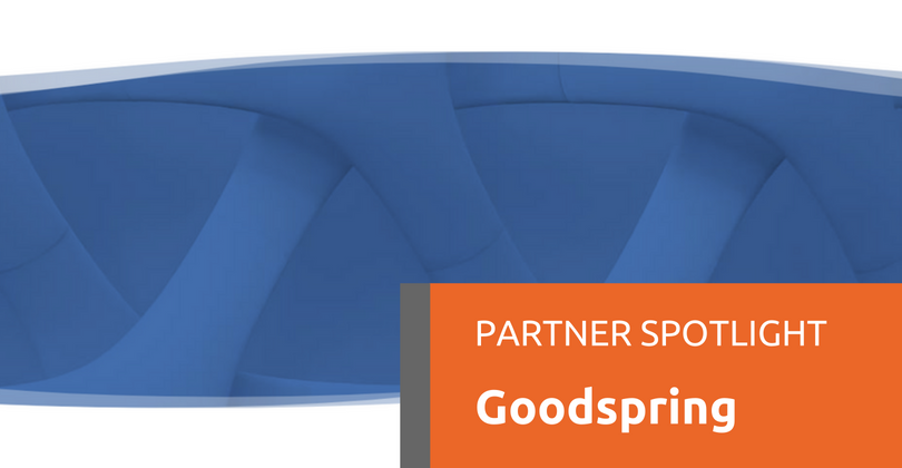 Network Dynamics Partner Spotlight: Goodspring