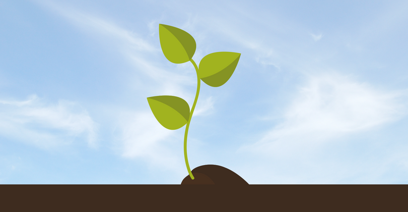 WPBeginner launches a Growth Accelerator Fund