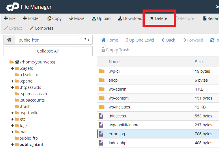 manage website files and folders: delete a file using cPanel File Manager