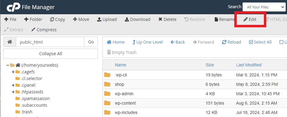 manage website files and folders: Edit a file using cPanel file manager