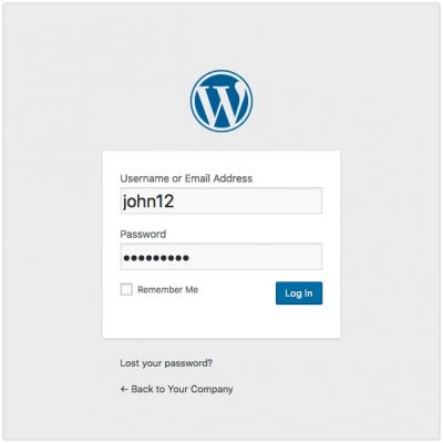 give WordPress access